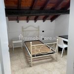 Rent 3 bedroom apartment of 75 m² in Paderno Dugnano