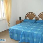 Affitto 3 camera appartamento di 70 m² in Rosignano Marittimo