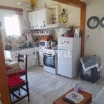 Rent 1 bedroom apartment of 36 m² in Markopoulo