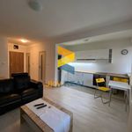Rent 2 bedroom apartment of 54 m² in Přerov