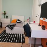 Rent a room in Parma