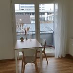 Rent 1 bedroom apartment of 30 m² in Freiburg im Breisgau