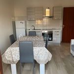 Rent 2 bedroom apartment of 75 m² in Gizzeria