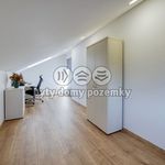 Rent 1 bedroom house of 268 m² in Plzeň