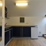 Rent 1 bedroom apartment of 35 m² in Gent