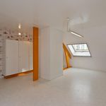 Huur 1 slaapkamer huis van 2325 m² in Bilzen