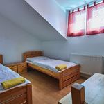 Rent 1 bedroom apartment of 25 m² in Číhošť