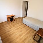 Rent 3 bedroom apartment of 52 m² in Brno