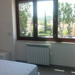 Affitto 3 camera appartamento di 80 m² in Frosinone