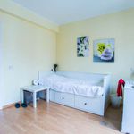 Rent a room of 200 m² in Etterbeek