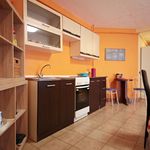 Rent 2 bedroom apartment of 95 m² in Budapest