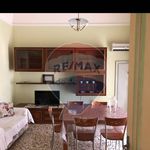 Rent 3 bedroom apartment of 100 m² in Vittoria