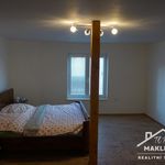 Rent 1 bedroom apartment of 42 m² in Kolín