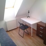 Rent 7 bedroom apartment in Wroclaw