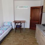 Rent 1 bedroom apartment of 28 m² in Pilsen