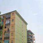 Rent 2 bedroom apartment of 50 m² in Nichelino