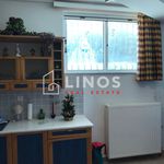 Ενοικίαση 6 υπνοδωμάτιο σπίτι από 250 m² σε Aigina