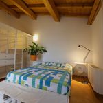 Rent 1 bedroom apartment of 40 m² in Martellago