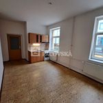 Rent 1 bedroom apartment of 25 m² in Ústí nad Labem