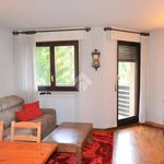 Rent 3 bedroom apartment of 70 m² in Ponte di Legno