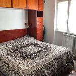 Rent 3 bedroom apartment of 60 m² in Ovindoli