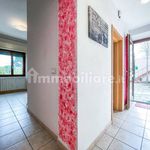 Rent 2 bedroom apartment of 55 m² in Spazzavento
