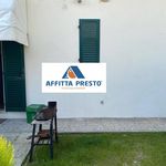 Rent 3 bedroom apartment of 65 m² in Lucca