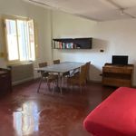 Rent 4 bedroom apartment of 120 m² in Firenze