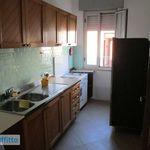 Rent 3 bedroom apartment of 70 m² in Alcamo