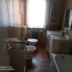 Rent 2 bedroom apartment of 60 m² in Lanciano