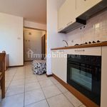 Rent 1 bedroom apartment of 32 m² in Lodi