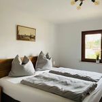 Miete 6 Schlafzimmer wohnung von 150 m² in Dresden