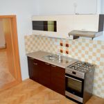 Rent 2 bedroom apartment of 75 m² in Zdíkov