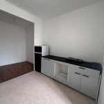 Rent 2 bedroom apartment of 41 m² in Lyon