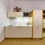 Rent 1 bedroom apartment of 37 m² in Prague