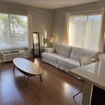 Rent 1 bedroom apartment of 3640 m² in Miami Beach