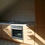 Rent 1 bedroom apartment of 21 m² in Sarreguemines