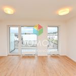 Rent 3 bedroom apartment of 80 m² in Beroun
