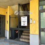 Rent 1 bedroom apartment of 50 m² in Treviglio