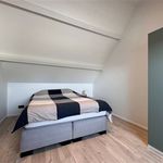Rent 3 bedroom house in Wetteren