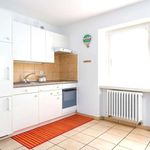 Rent 2 bedroom apartment of 50 m² in Stabio