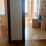 Rent 2 bedroom apartment of 56 m² in Milano