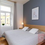 Rent 1 bedroom apartment of 38 m² in Praha