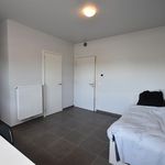  appartement avec 1 chambre(s) en location à Bruges