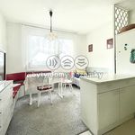 Rent 1 bedroom apartment of 36 m² in Plzeň