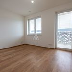 Pronajměte si 2 ložnic/e byt o rozloze 55 m² v Lisice