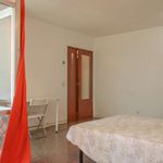 Alquilar 4 dormitorio apartamento en Madrid