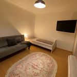 Rent 2 bedroom apartment of 55 m² in Bergheim