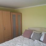 Rent 1 bedroom apartment of 45 m² in Zlín