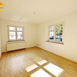 Rent 2 bedroom apartment of 55 m² in Chemnitz